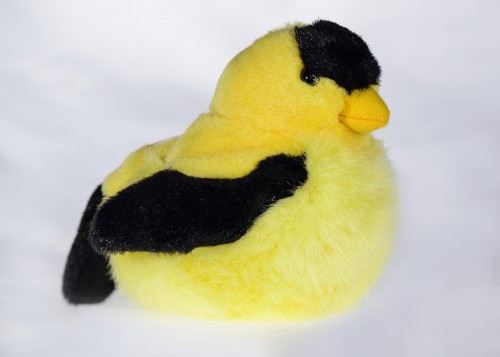 goldfinch plush