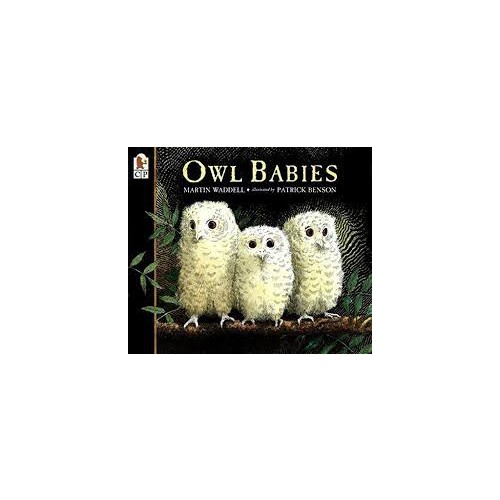 Owl babies board store book